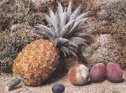 A Pineapple,a Peach and Plums on a mossy Bank (mk37) John Sherrin